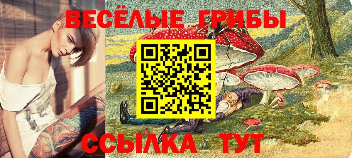 Галлюциногенные грибы Magic Shrooms  Псилоцибиновые грибы ЛСД  Вход с VPN  Благодарный 